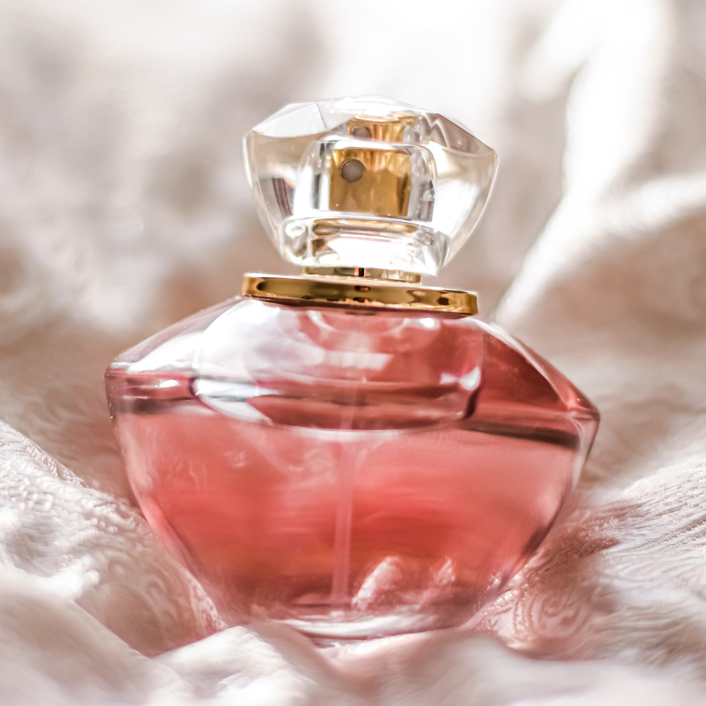 ORION ELIXIR